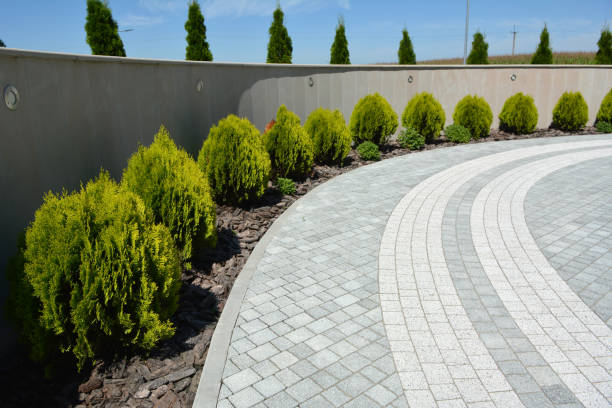 Best Custom Driveway Pavers  in Harrington Park, NJ